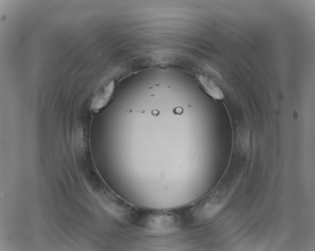 X0000064050220200601301221