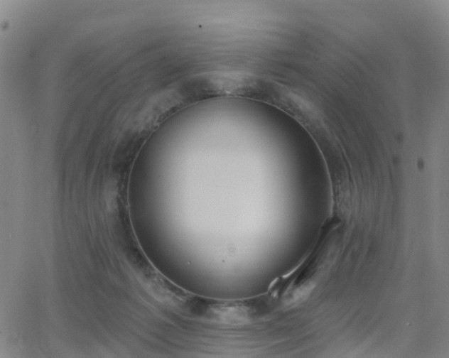 X0000064050221200601301221