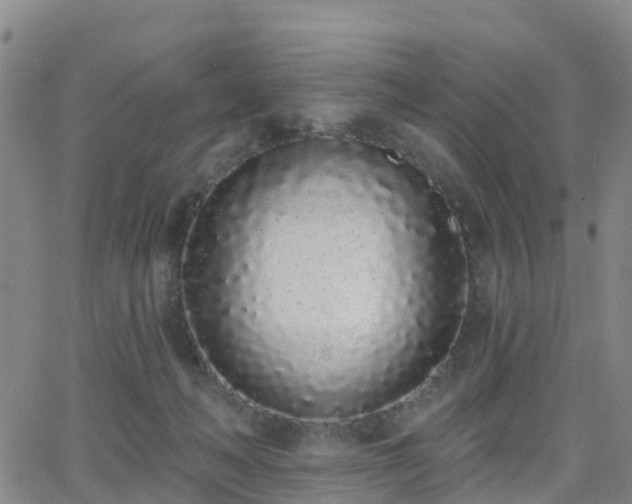 X0000064050222200601301221