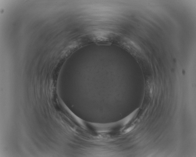 X0000064050223200601301221