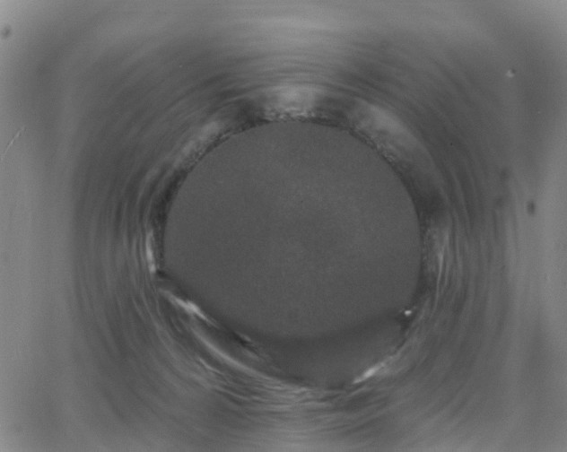 X0000064050224200601301221