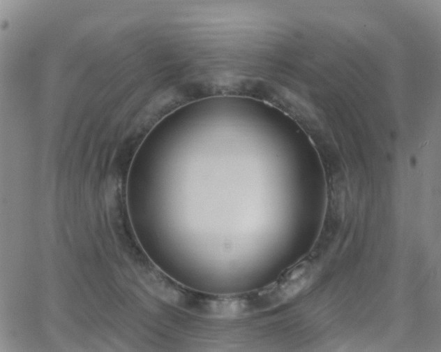 X0000064050225200601301221