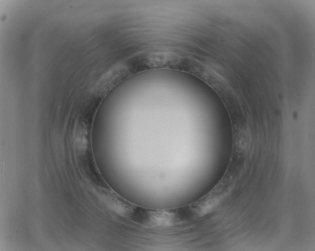 X0000064050226200601301221