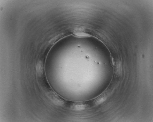 X0000064050228200601301221