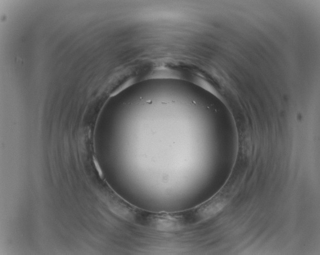 X0000064050229200601301221