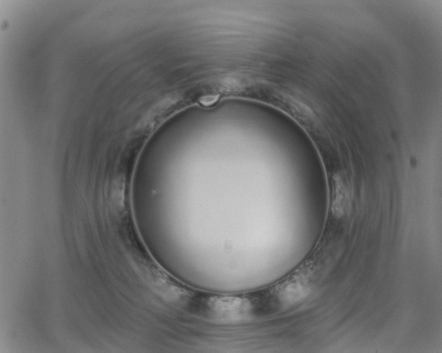 X0000064050230200601301221