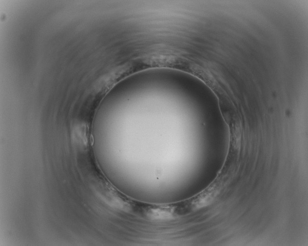 X0000064050232200601301221