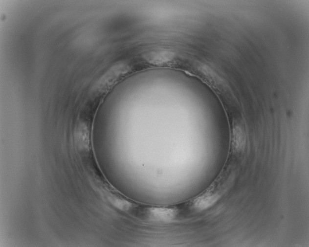 X0000064050234200601301221