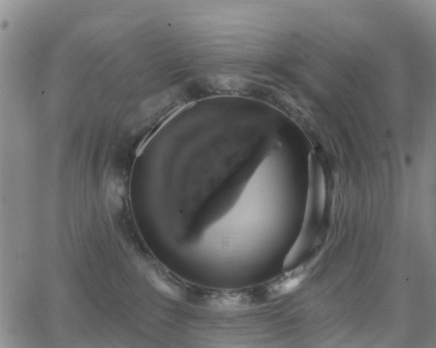 X0000064050235200601301221