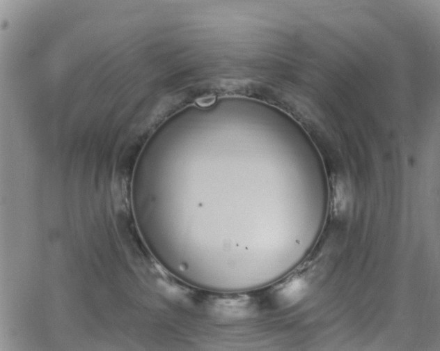 X0000064050236200601301221