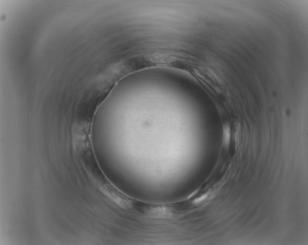 X0000064050237200601301221