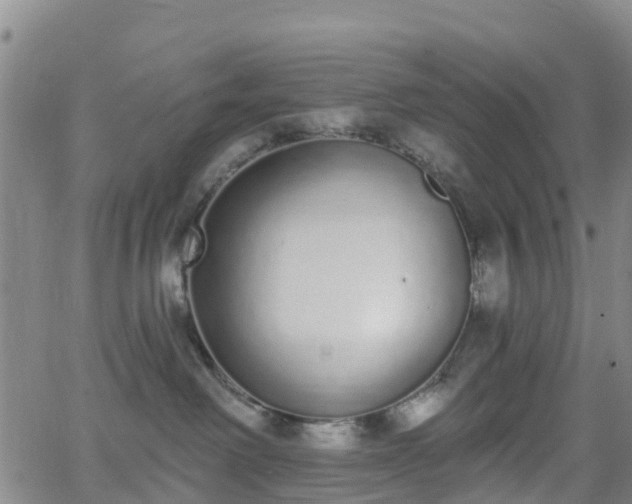 X0000064050238200601301221