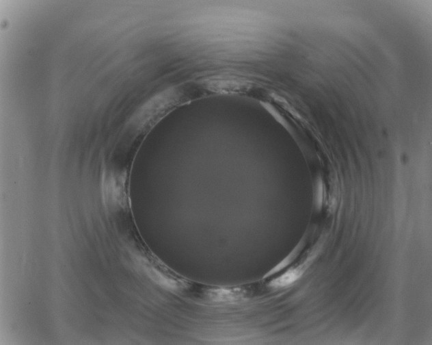 X0000064050239200601301221