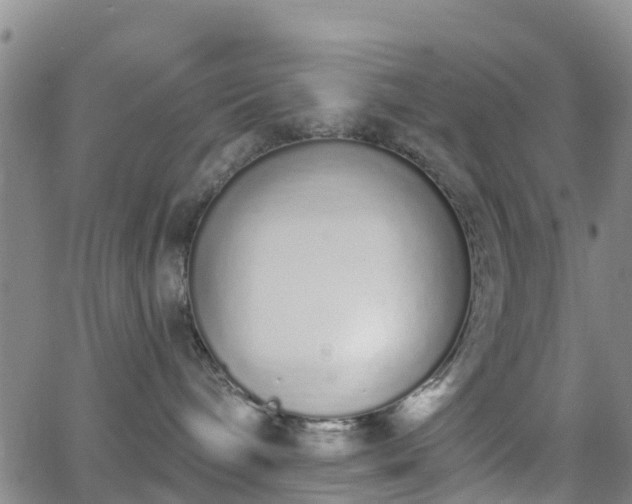 X0000064050240200601301221