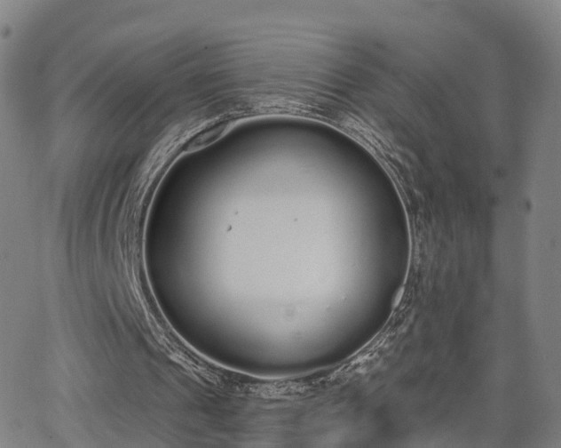 X0000064050241200601301220