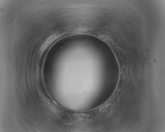 X0000064050242200601301220