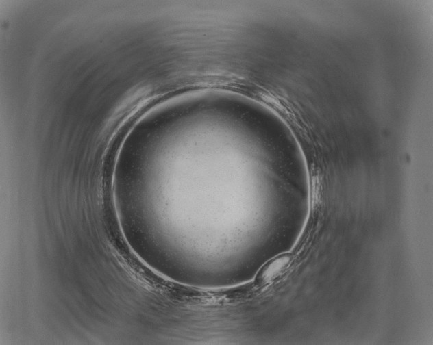 X0000064050243200601301220