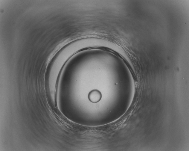 X0000064050244200601301220