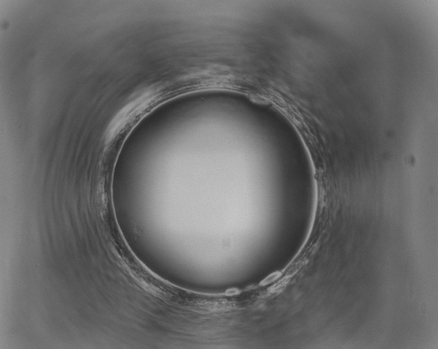 X0000064050245200601301220