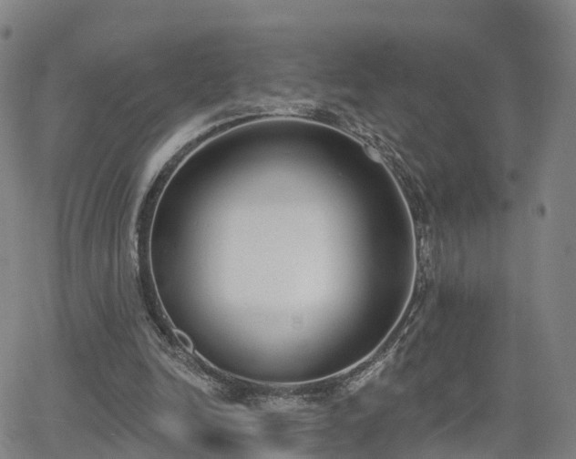 X0000064050246200601301220