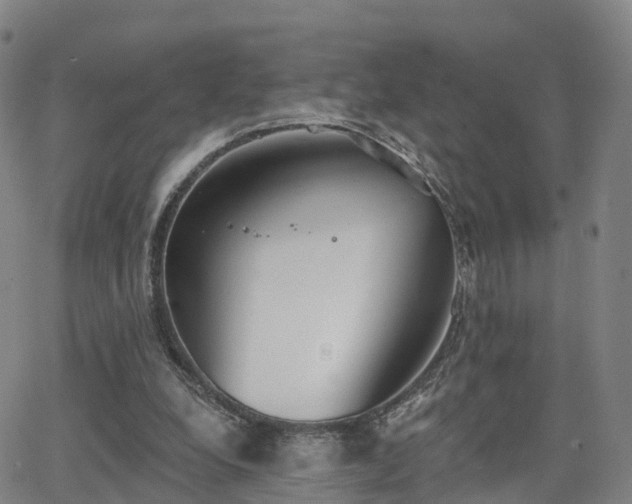 X0000064050248200601301220