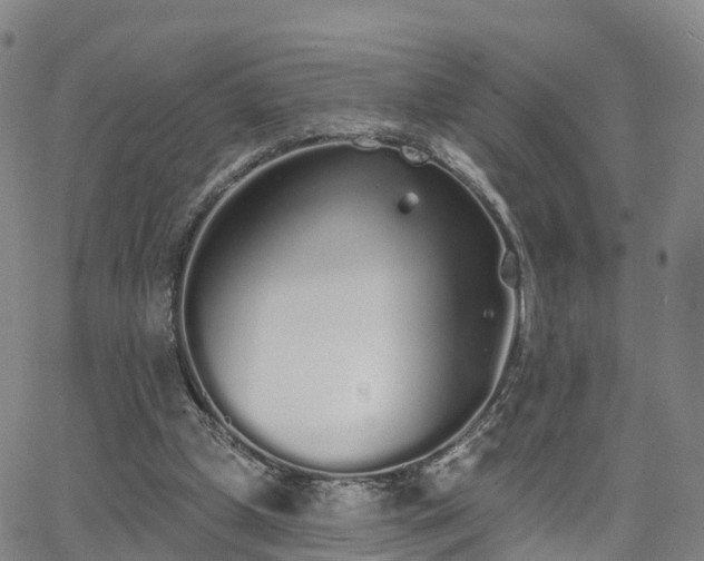 X0000064050249200601301220