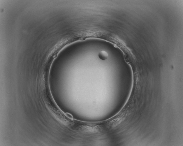 X0000064050250200601301221