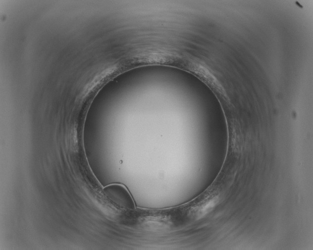 X0000064050251200601301221