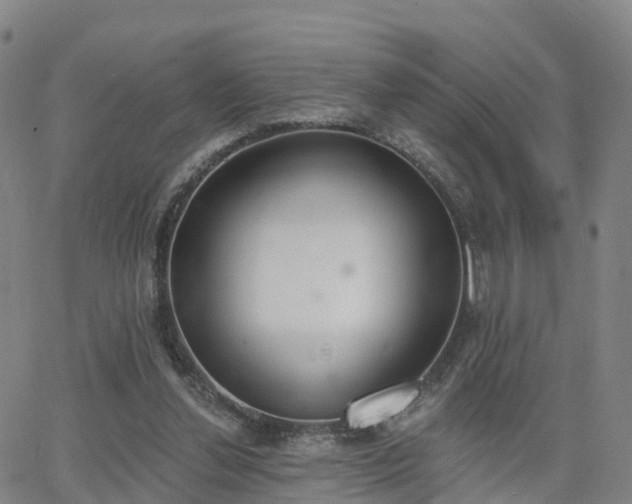 X0000064050252200601301221