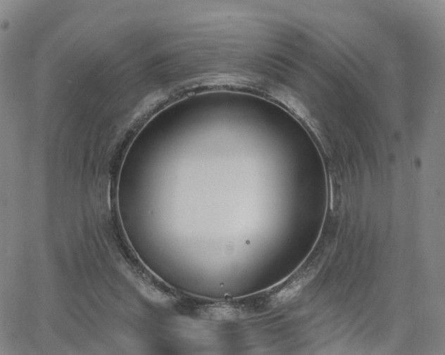 X0000064050253200601301221