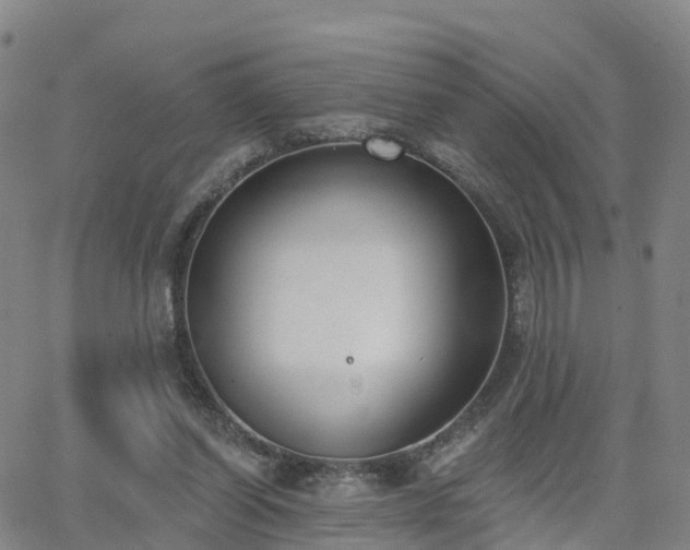 X0000064050254200601301221