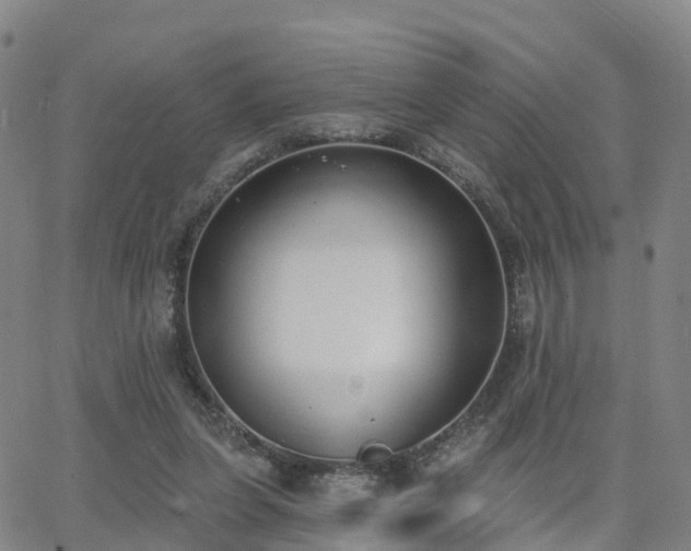 X0000064050255200601301221