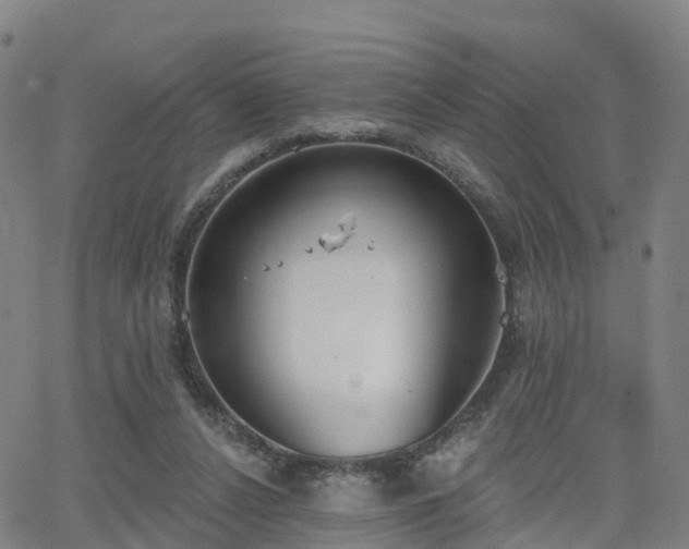 X0000064050256200601301221