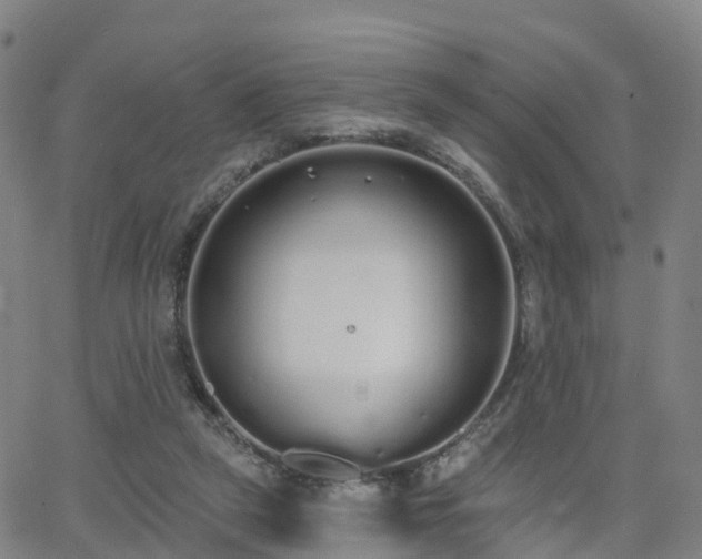 X0000064050257200601301221