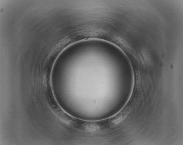 X0000064050258200601301221