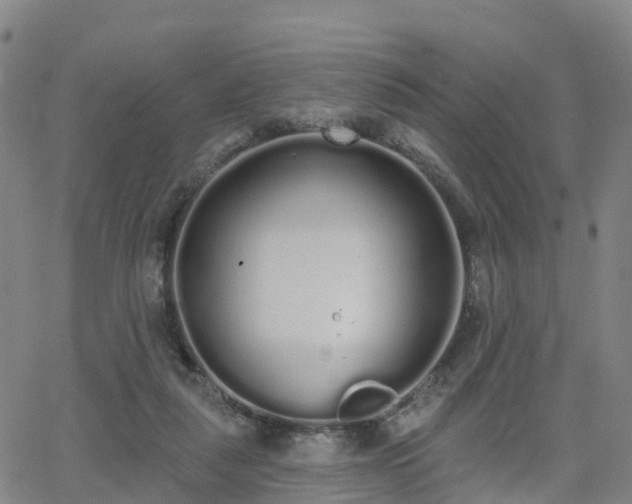 X0000064050259200601301221