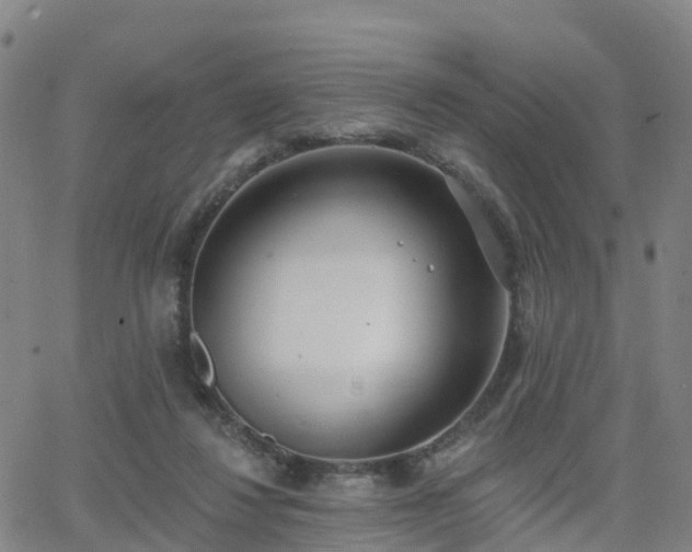 X0000064050260200601301221