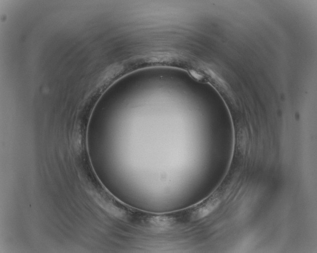 X0000064050261200601301221