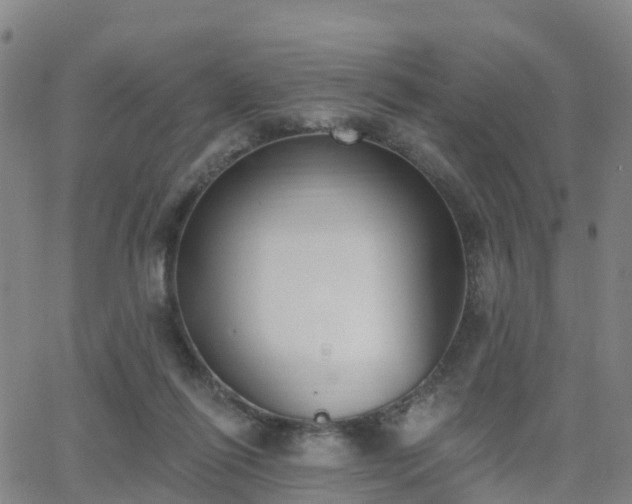 X0000064050262200601301221