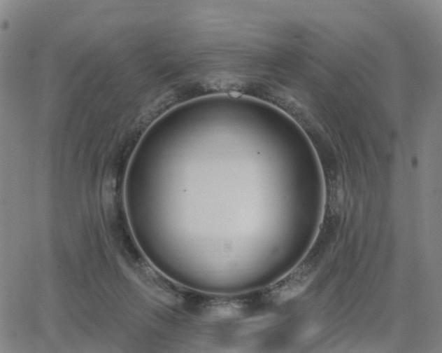 X0000064050263200601301221