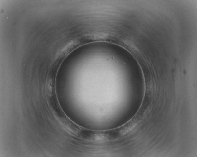 X0000064050264200601301221