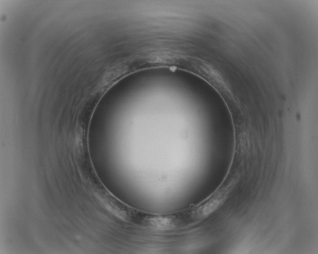 X0000064050265200601301221