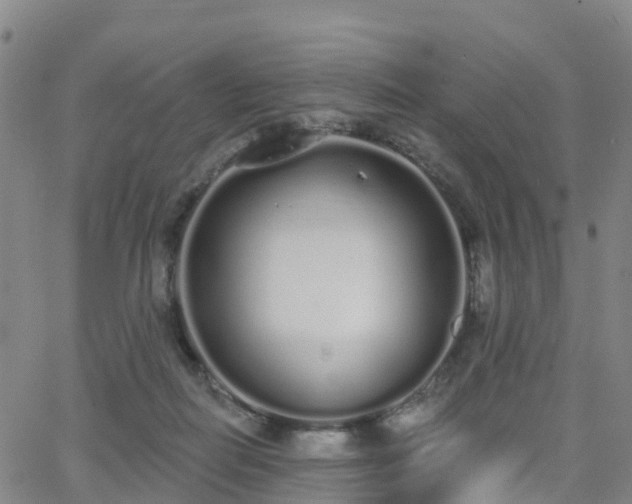 X0000064050266200601301221