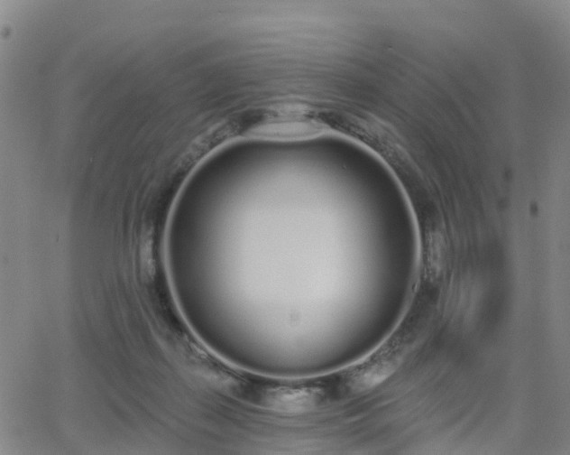 X0000064050267200601301221