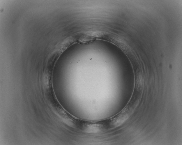 X0000064050268200601301221