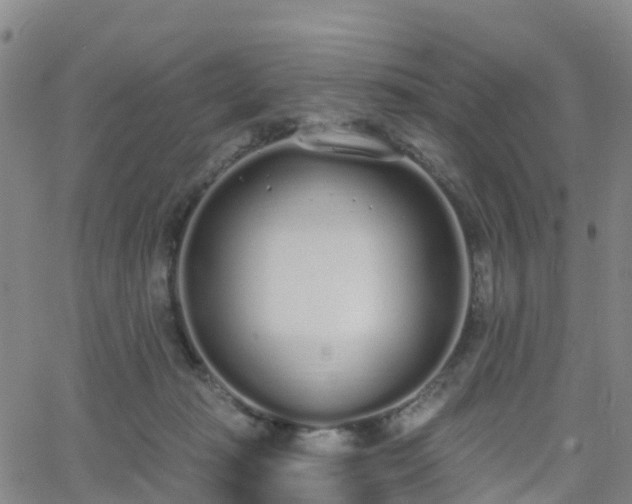 X0000064050269200601301221