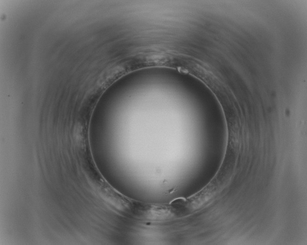 X0000064050270200601301221