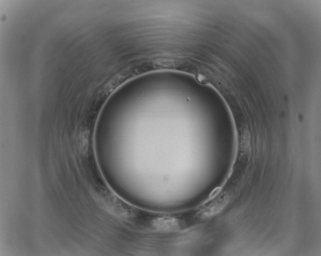 X0000064050271200601301221