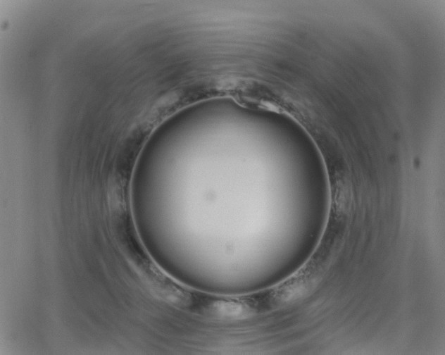 X0000064050272200601301221