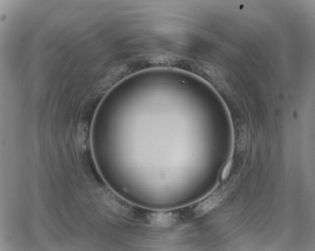 X0000064050273200601301221